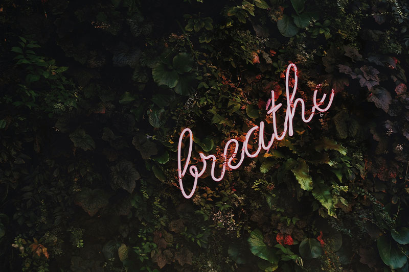 leistungen-mentale-staerke